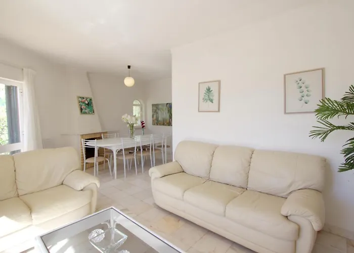 Amelia 156 - Clever Details